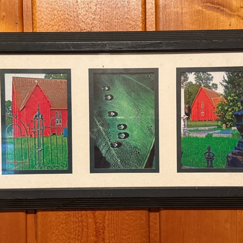 Framed Art with Nature and Architecture Prints Original Photograph